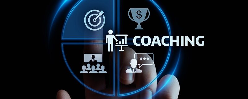 Coaching Mentoring Education Business Training Development E-lea